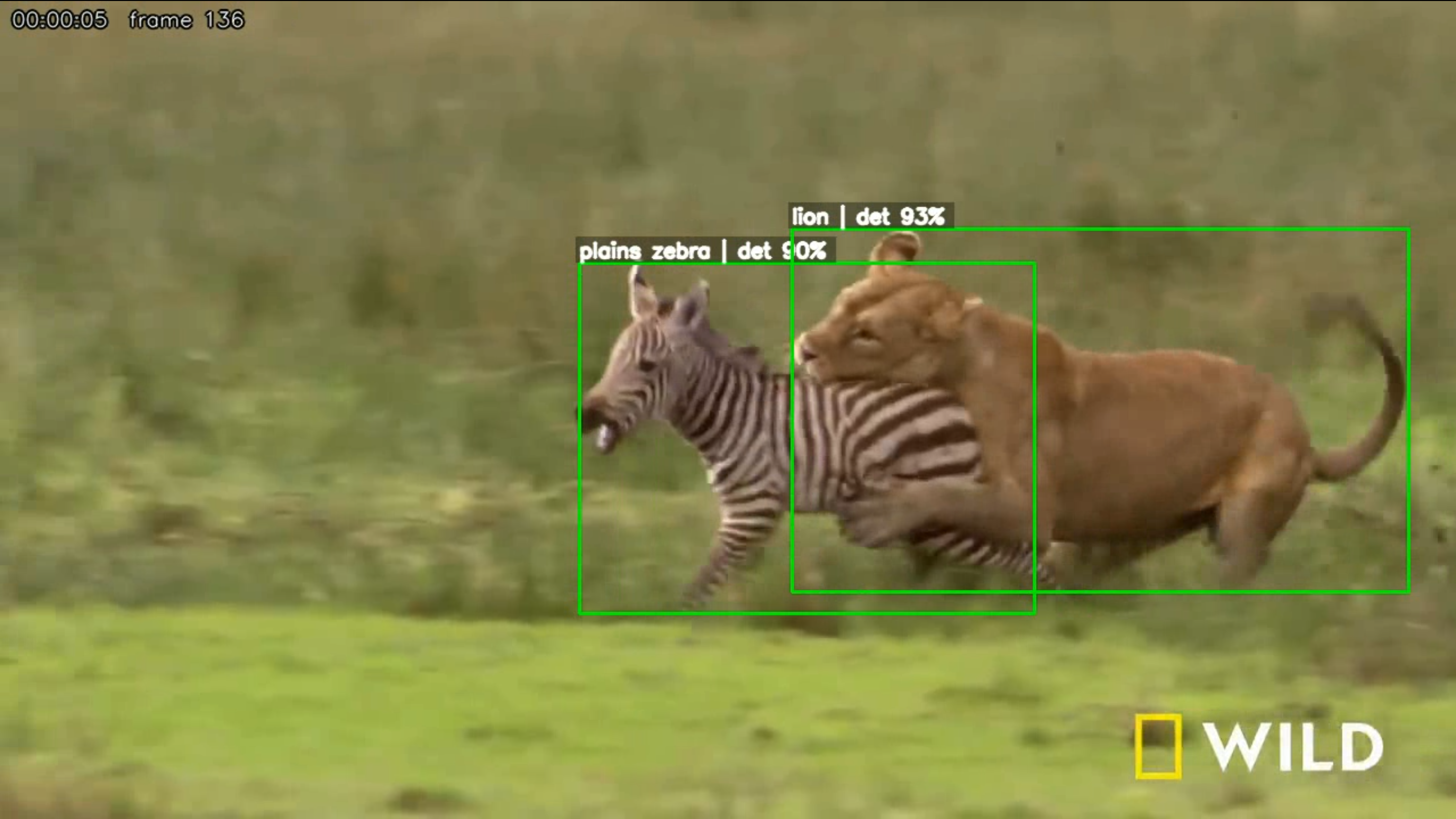 Vision-Based Wildlife & People Monitor thumbnail